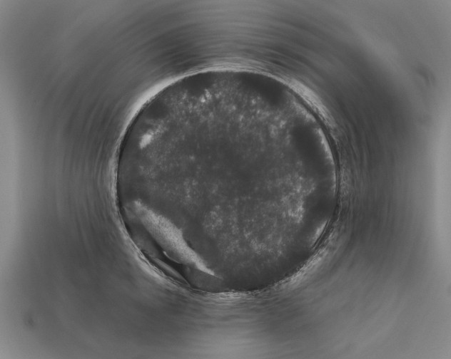 X0000113010854200909241350