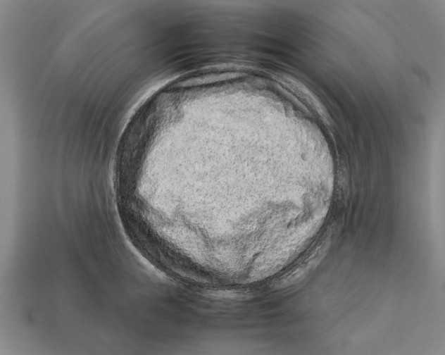 X0000113010855200909241350