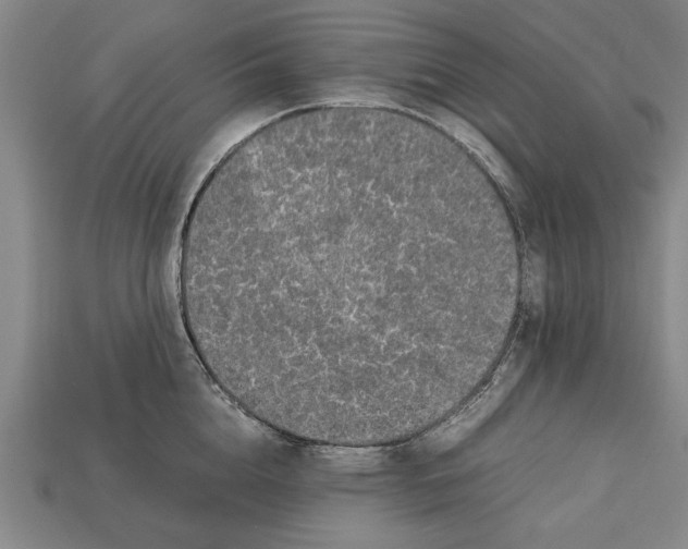 X0000113010856200909241350