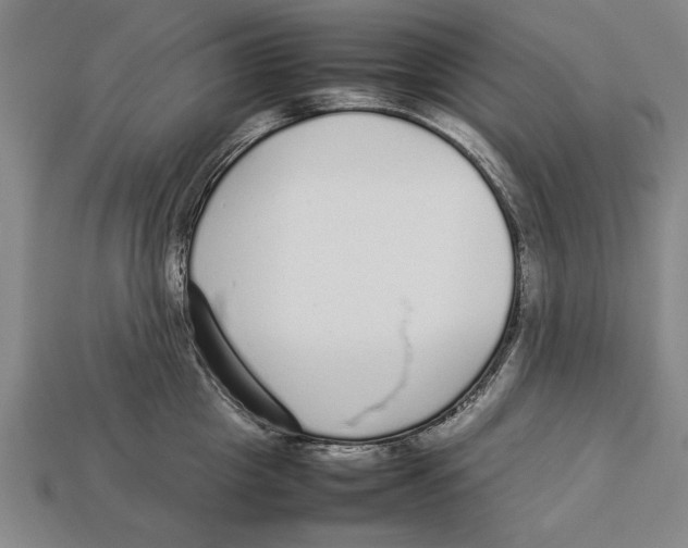 X0000113010857200909241350