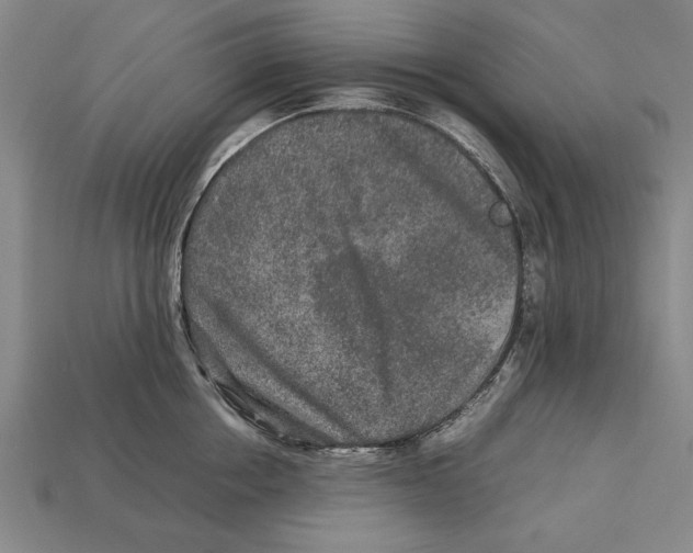 X0000113010858200909241350