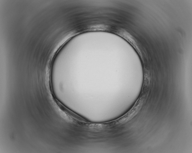 X0000113010859200909241350