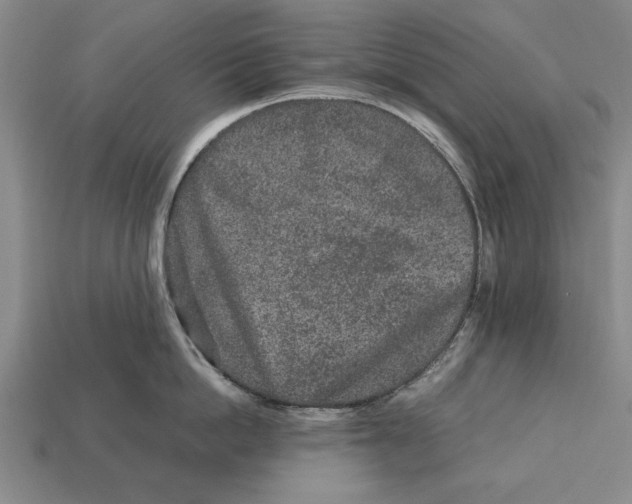 X0000113010862200909241350