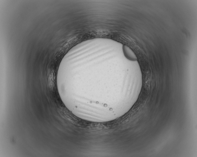 X0000113010866200909241350