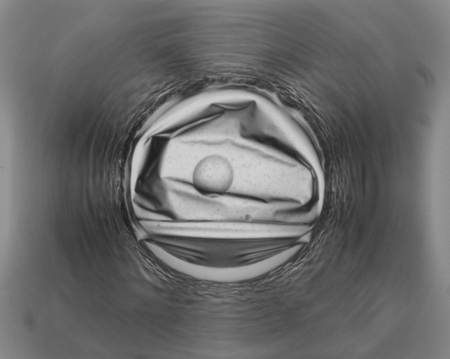 X0000113010868200909241350