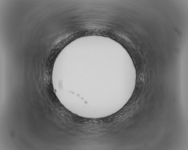 X0000113010869200909241350