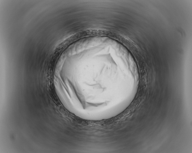 X0000113010870200909241350