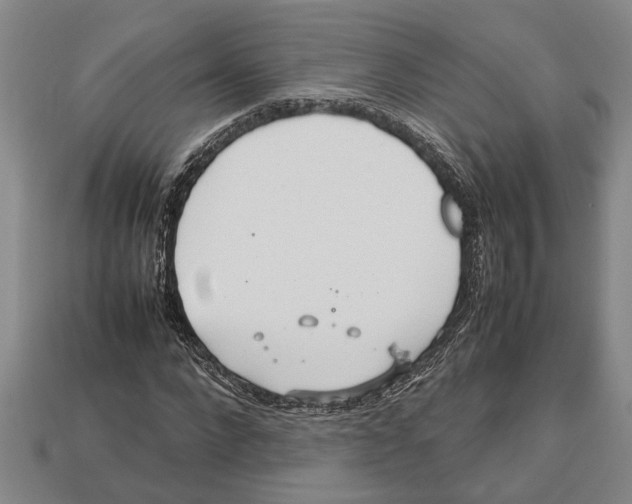 X0000113010872200909241349