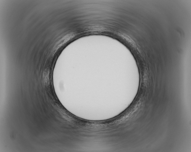 X0000113010873200909241349