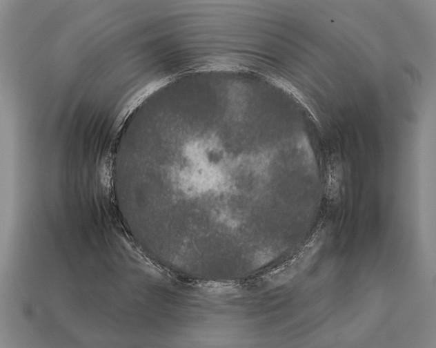 X0000113010874200909241349