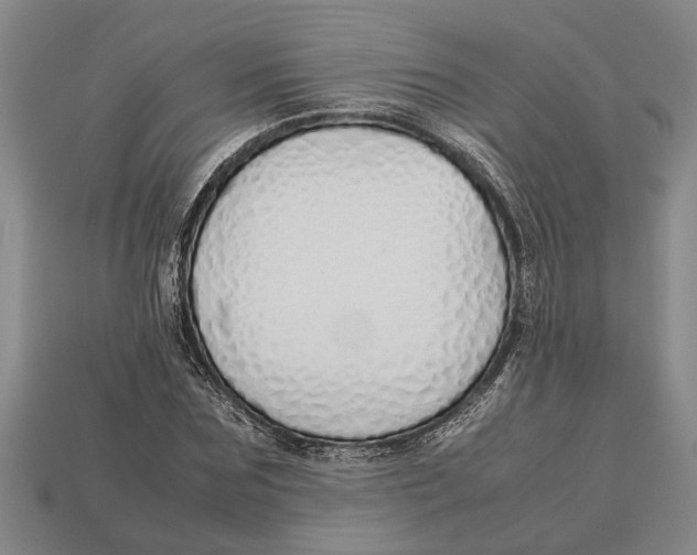 X0000113010875200909241349