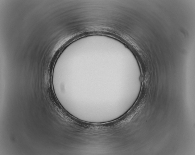 X0000113010877200909241349