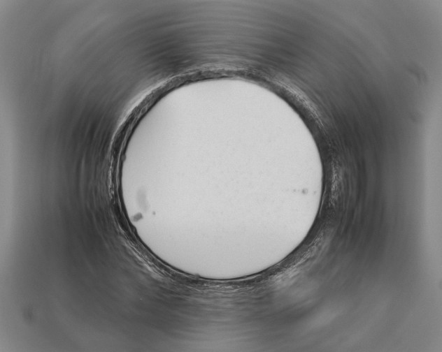 X0000113010878200909241349