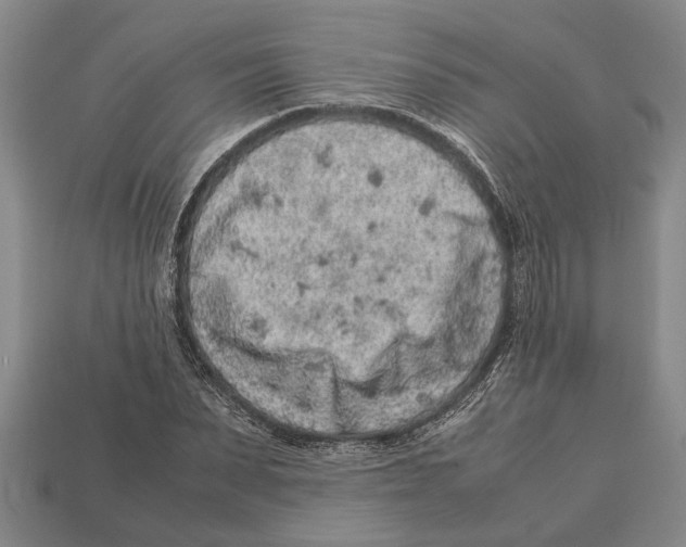 X0000113010879200909241349