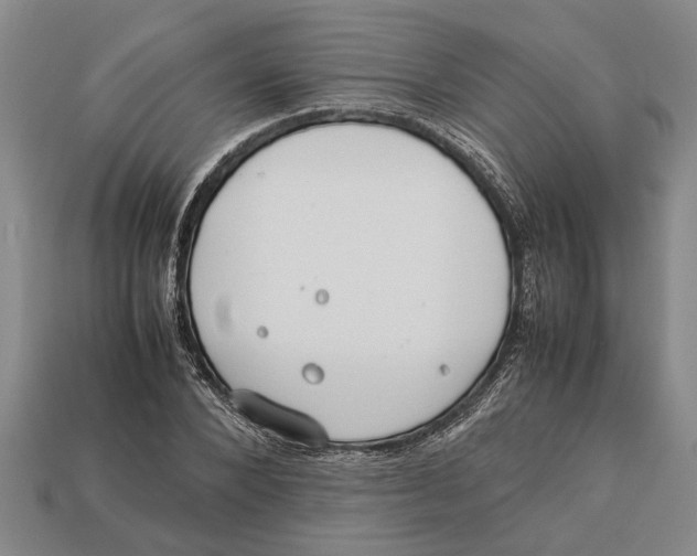 X0000113010880200909241349