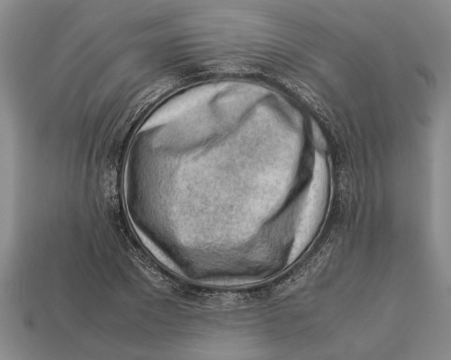 X0000113010881200909241349