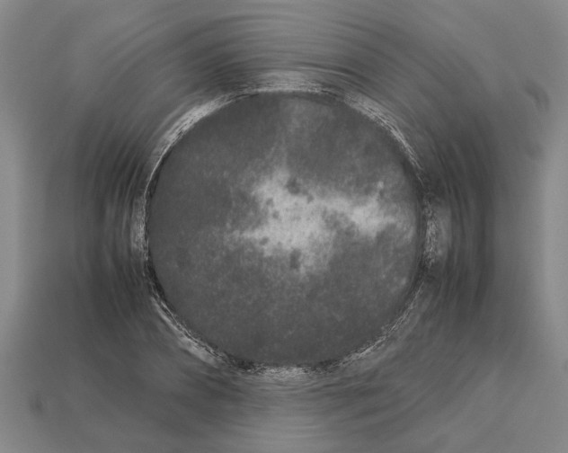 X0000113010882200909241349