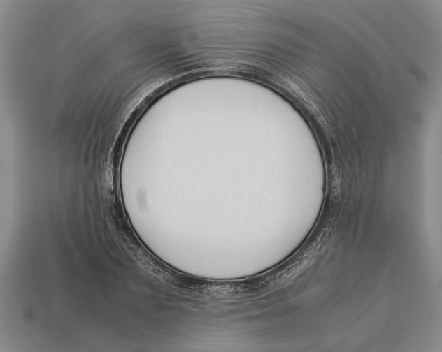 X0000113010883200909241349
