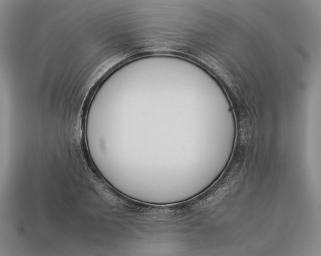 X0000113010885200909241349