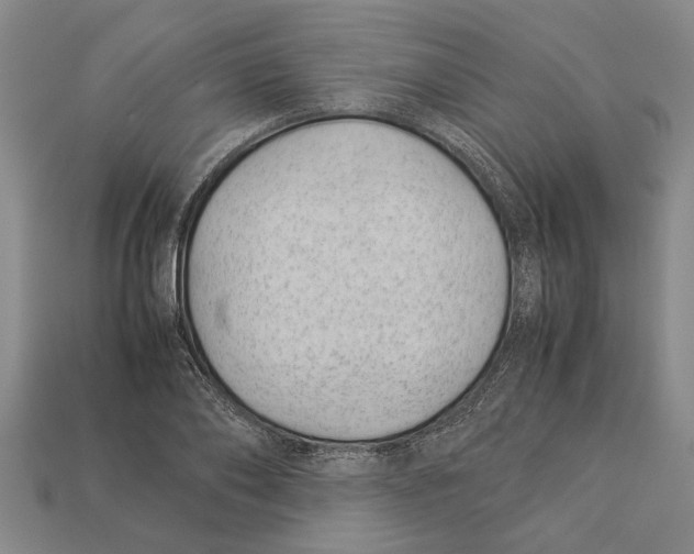 X0000113010886200909241349