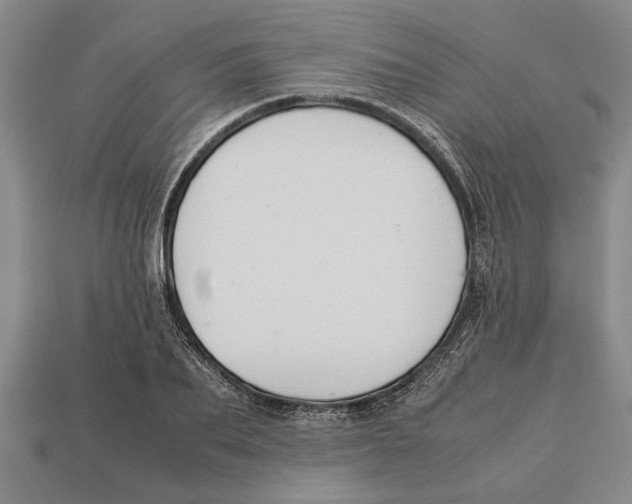 X0000113010887200909241349