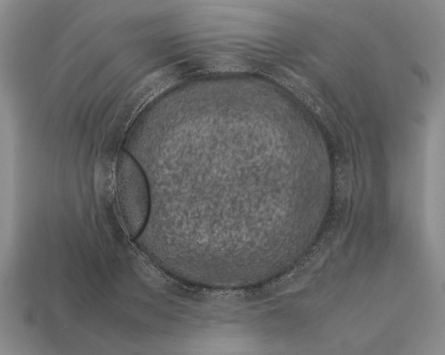 X0000113010889200909241349