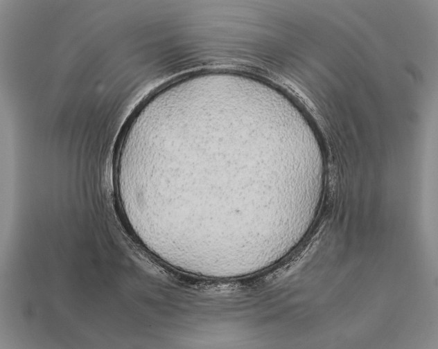 X0000113010891200909241349