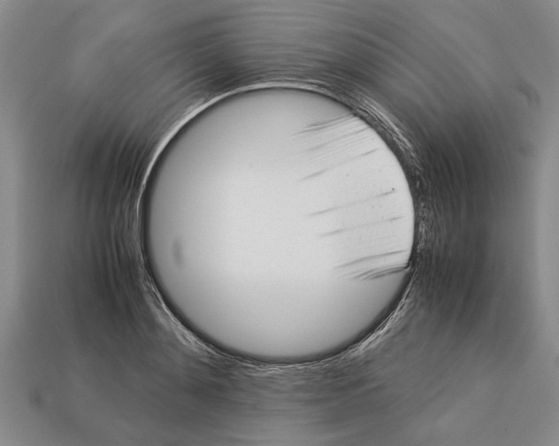 X0000113010892200909241349