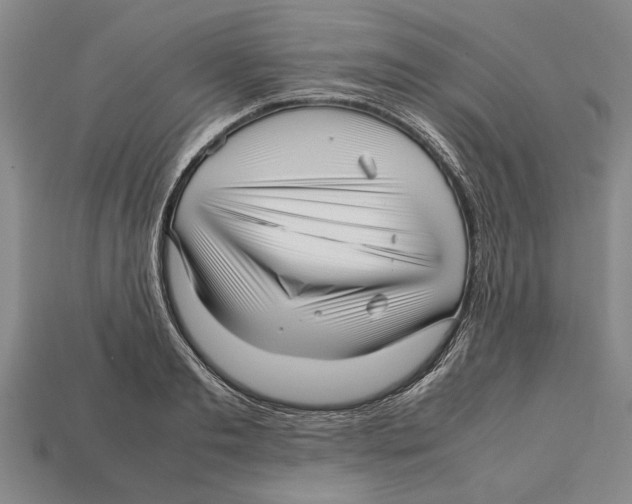 X0000113010893200909241349