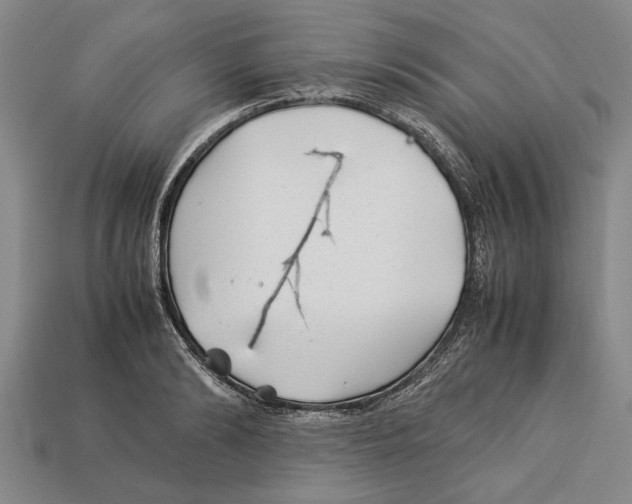 X0000113010894200909241349
