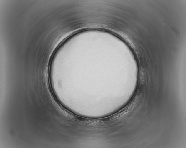 X0000113010895200909241349