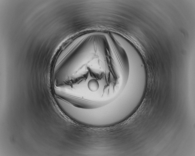 X0000113010896200909241349