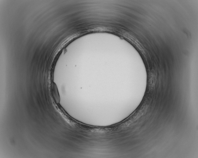 X0000113010898200909241349