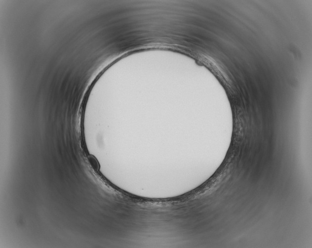 X0000113010900200909241349