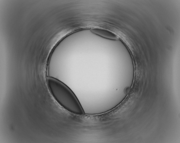 X0000113010901200909241349