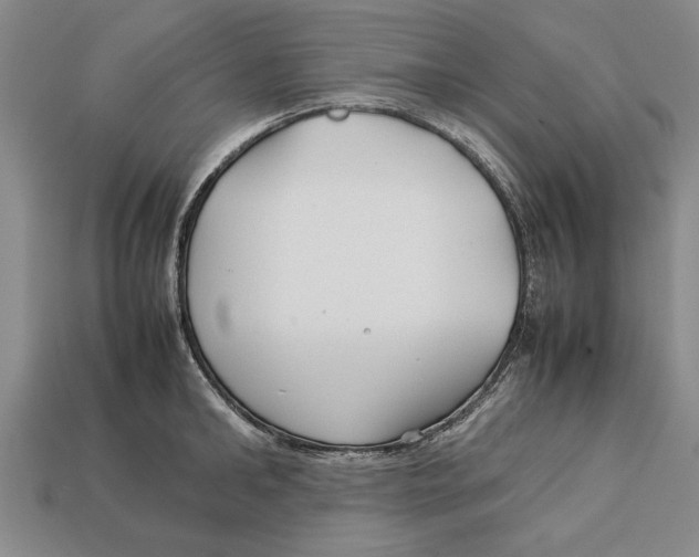 X0000113010902200909241349