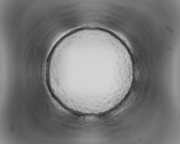 X0000113010903200909241349