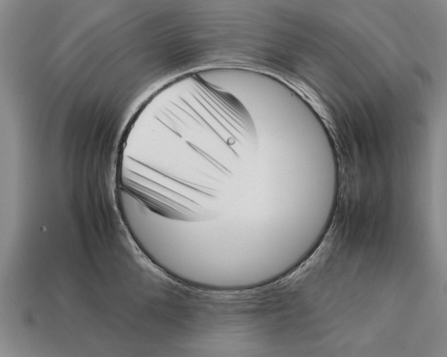 X0000113010904200909241349