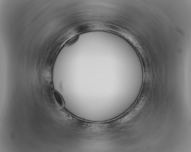X0000113010905200909241349