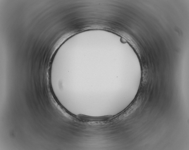 X0000113010906200909241349