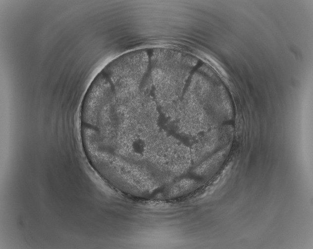 X0000113010907200909241349