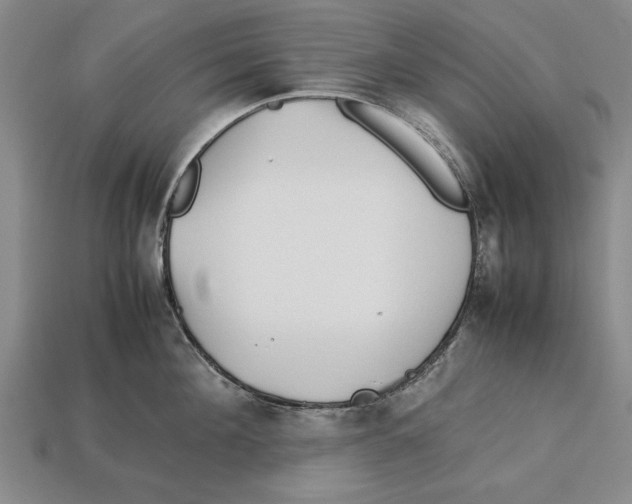 X0000113010908200909241349