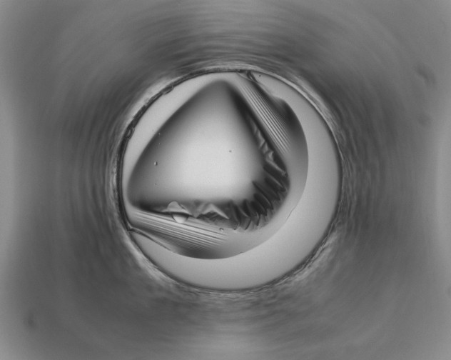 X0000113010909200909241349