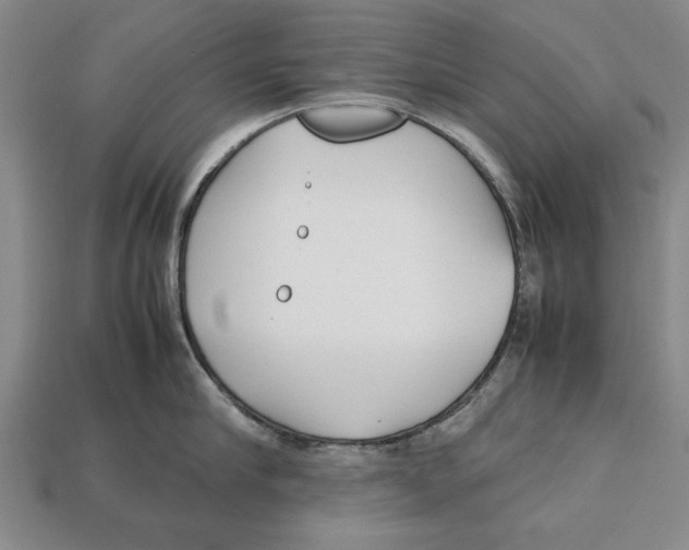 X0000113010910200909241349