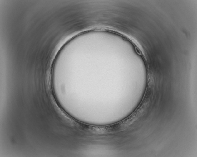X0000113010911200909241349