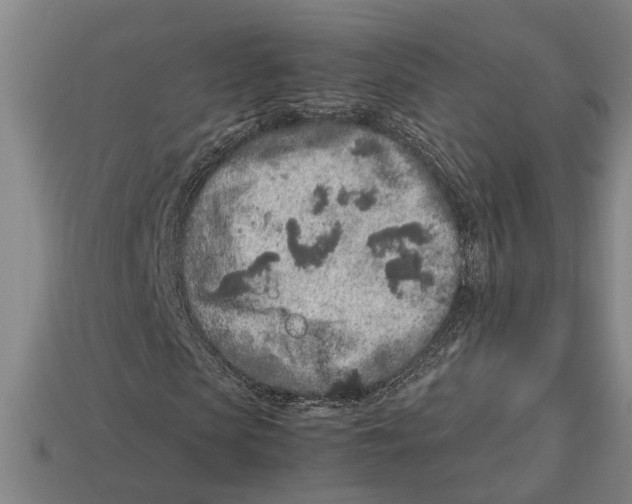X0000113010913200909241348