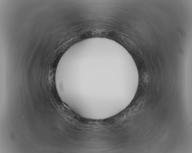 X0000113010914200909241348