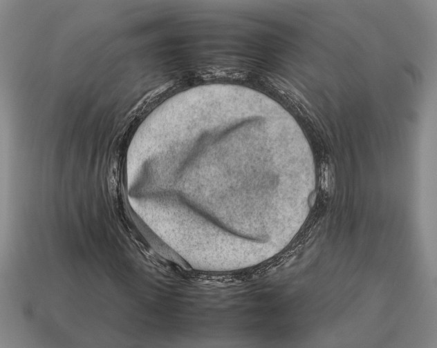 X0000113010915200909241348