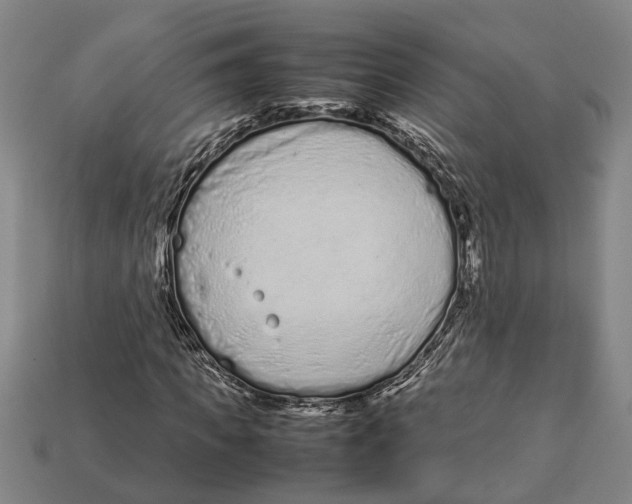 X0000113010917200909241348