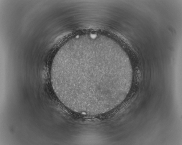 X0000113010918200909241348